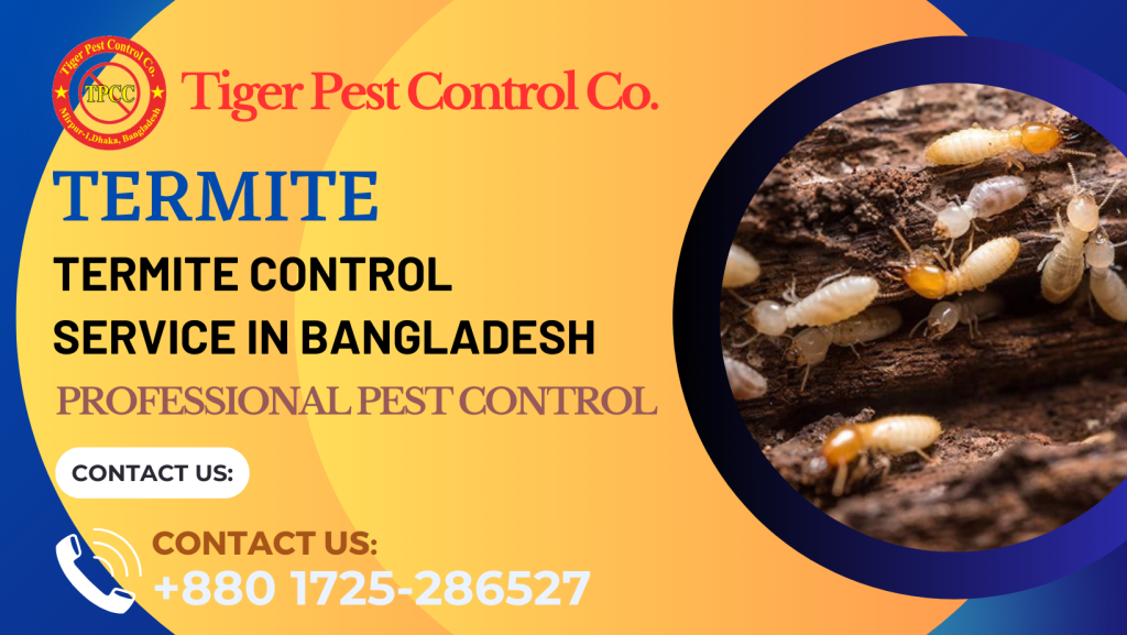 Termite Control in Bangladesh