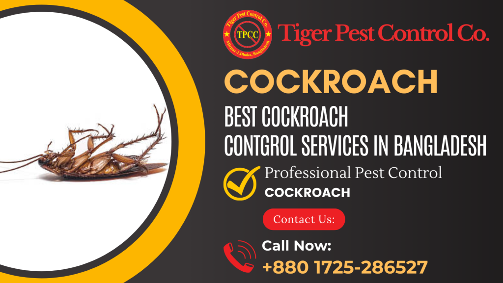 Cockroach Control in Bangladesh