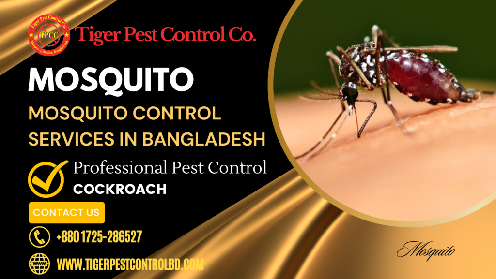Mosquito Control in Bangladesh