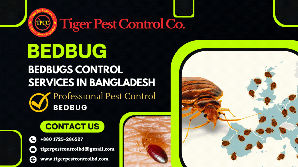 Bedbug Control in Bangladesh