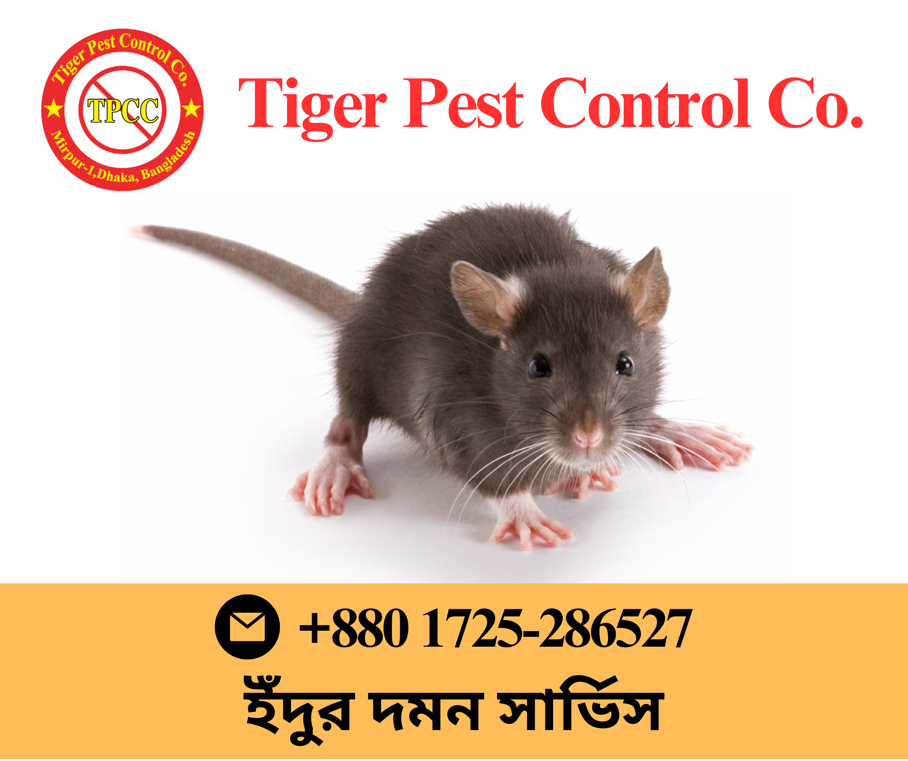 Rat Control in Bangladesh