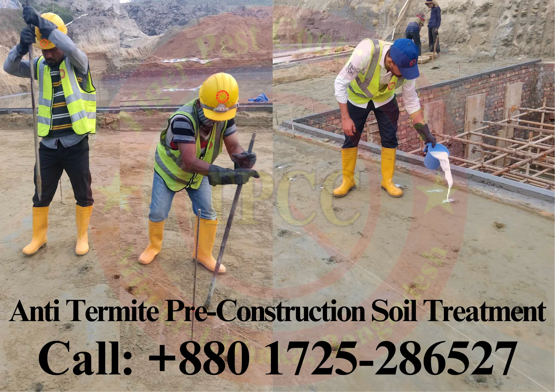 Pest Control in Bangladesh