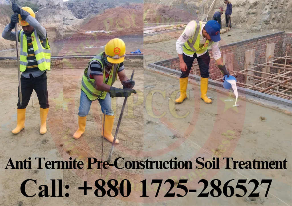 Termite Control in Bangladesh