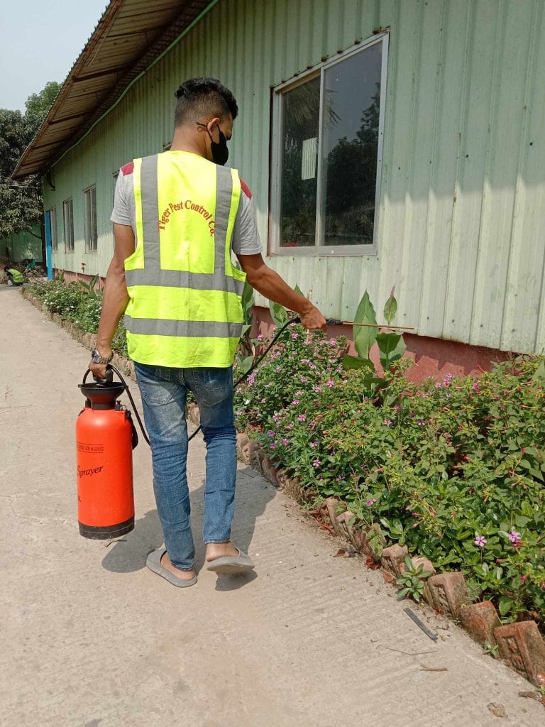 Pest Control in Uttara