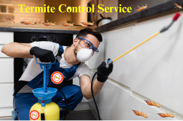 pest control services in Bangladesh