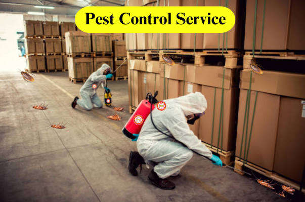 pest control service in Bangladesh