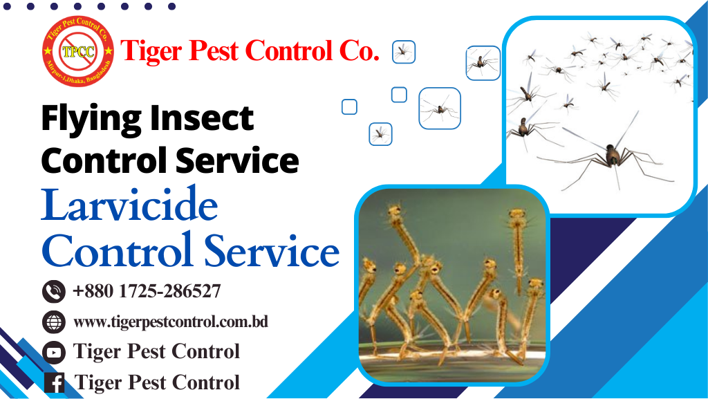 pest control service in Bangladesh